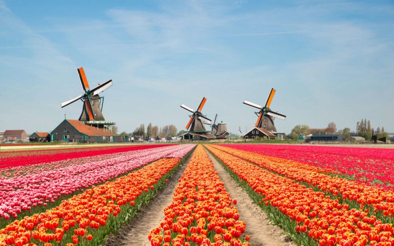 Best places to live in the Netherlandes - Windmills